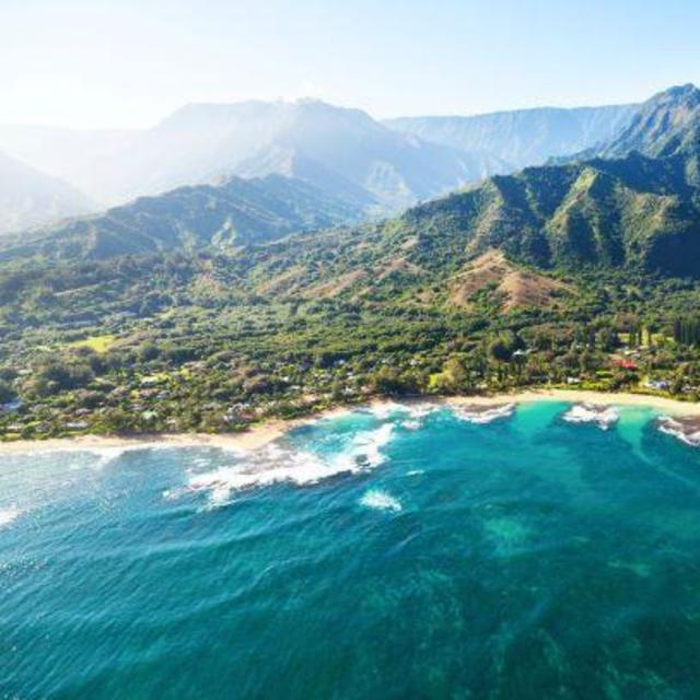Send Kelly and Brendan to Hawaii!