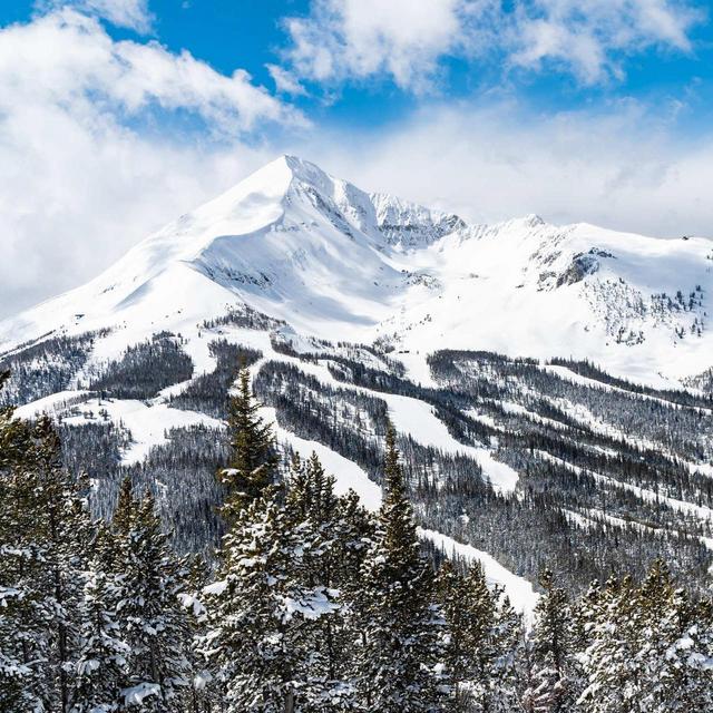 Honeymoon - We’re going to Montana!