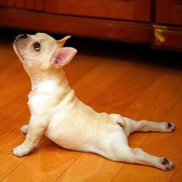 Honeymoon - Beach Yoga