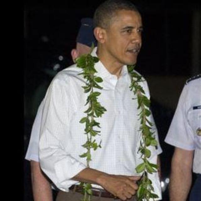 Honeymoon - Authentic Luau