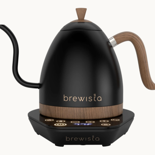 Electric Gooseneck Kettle