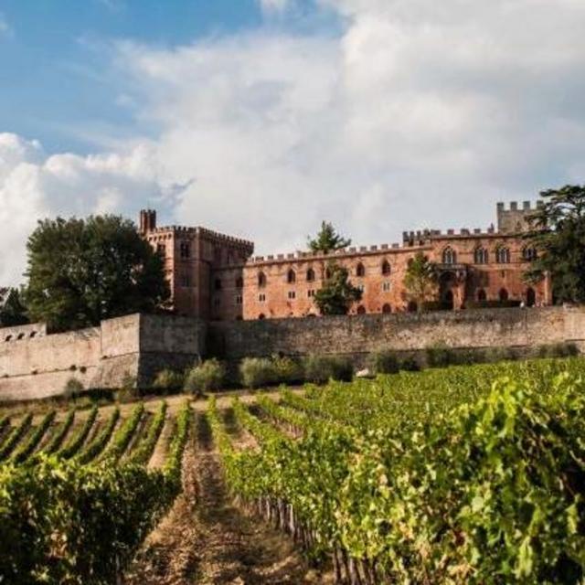 Wine tasting at Barone Ricasoli at Tuscany!