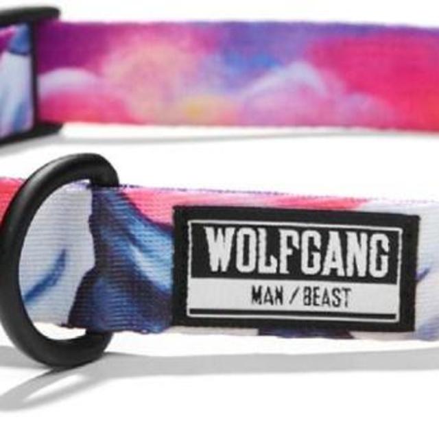 Wolfgang Man & Beast   MountainHome Collar