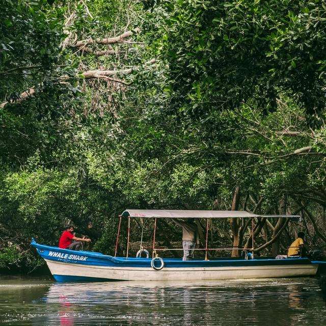Boat Trip through Sian Ka'an Biosphere Reserve on our Honeymoon