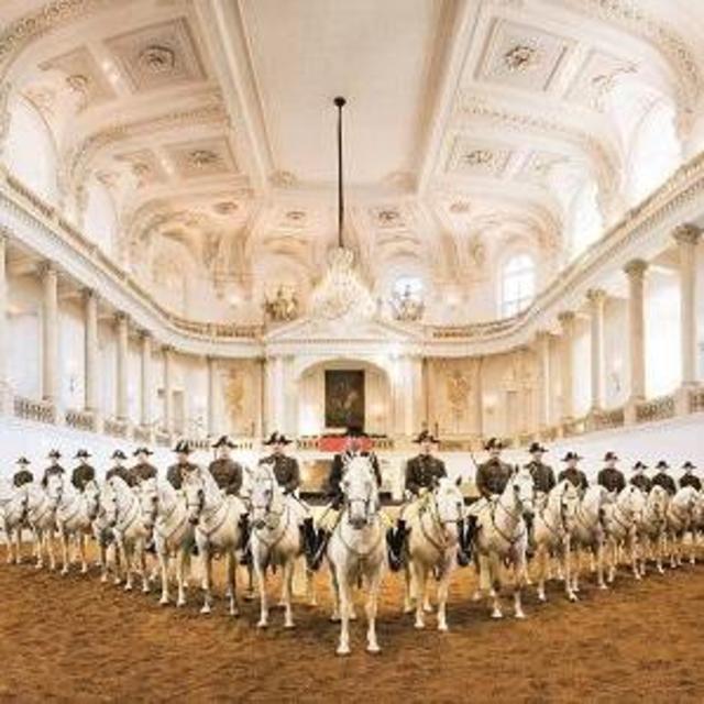 2 Tickets to Spanish Riding School in Vienna