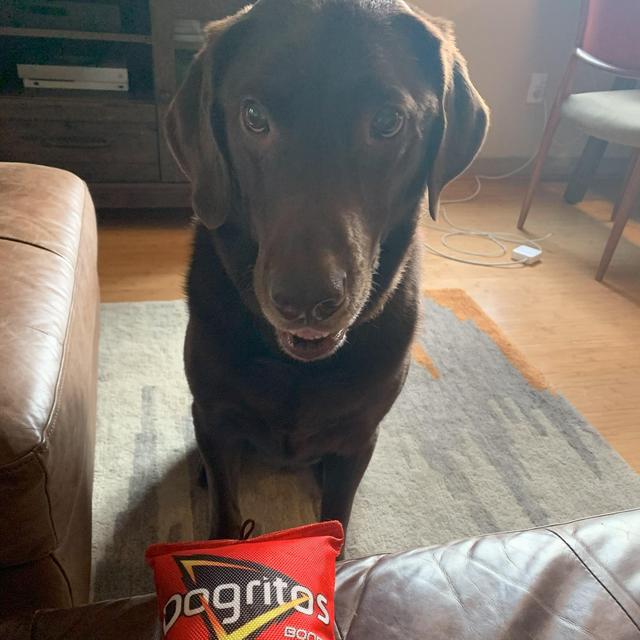 Good Boy Treats