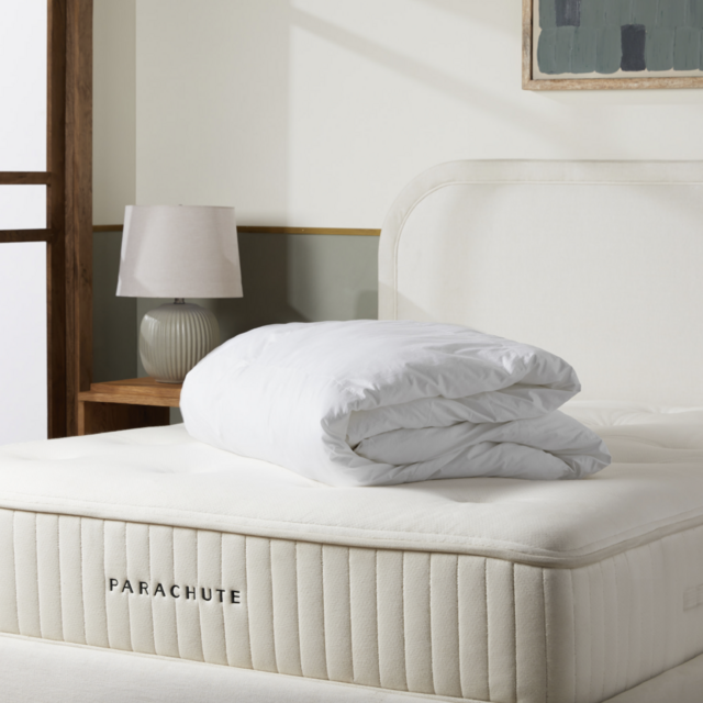 Parachute Down Alternative Duvet Insert