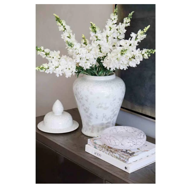 Opal Shell Jar Vase