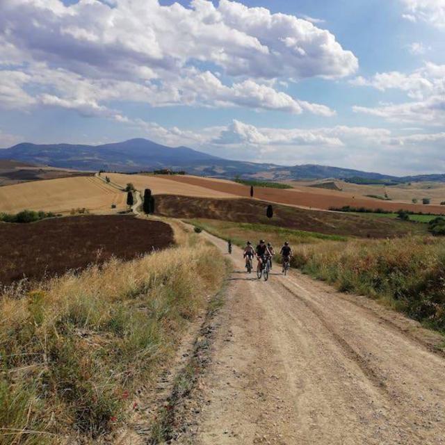 Wine and bike through Chianti