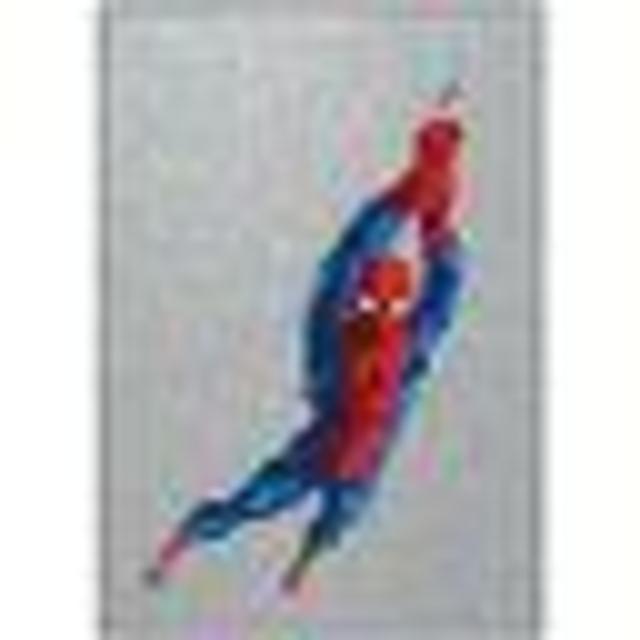 Spider Man Wall Hanging