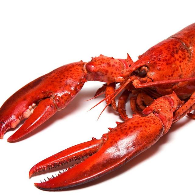 Dinner For Two in Bar Harbor