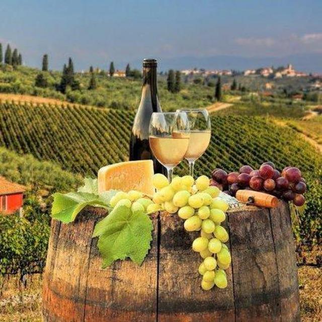 Day trip to Tuscany, including wine tour & dinner