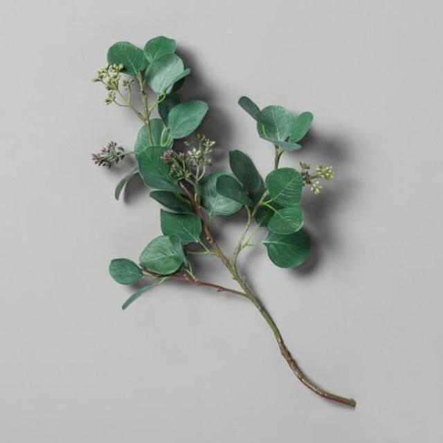Eucalyptus Pick Stem - Hearth & Hand