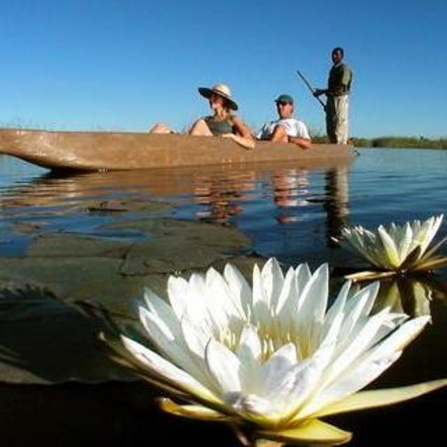 River Tour down the Okavango Delta