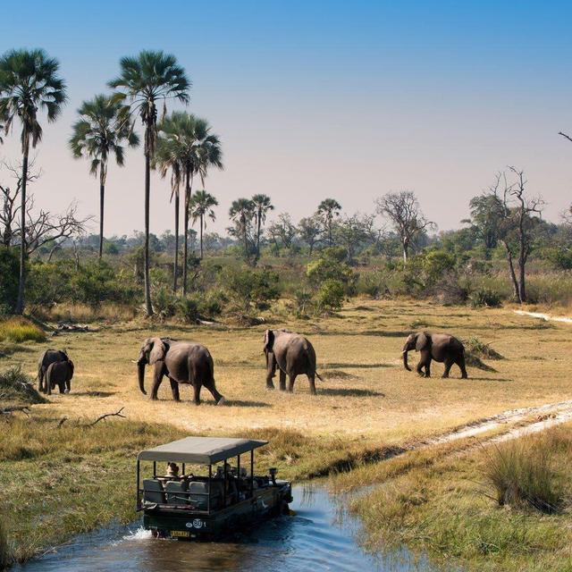 Safari Jeep Tour Day 5