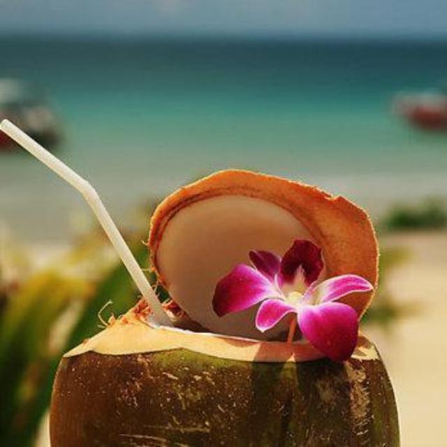Honeymoon Cocktails