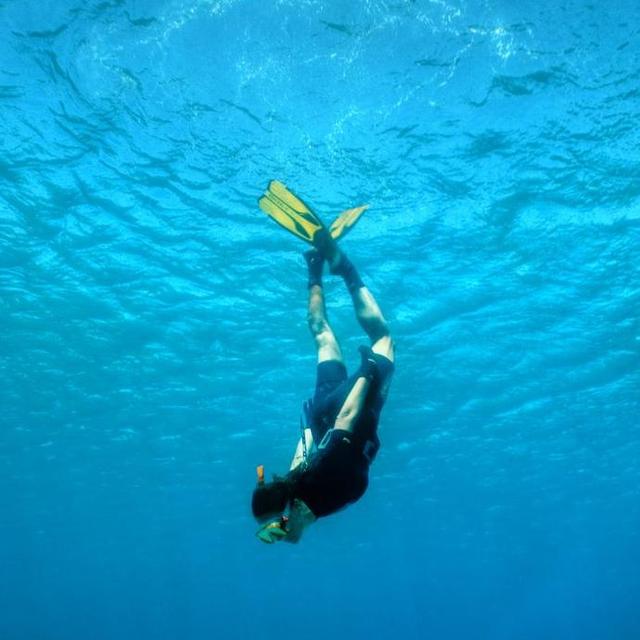 Corsica - Snorkeling in Calvi