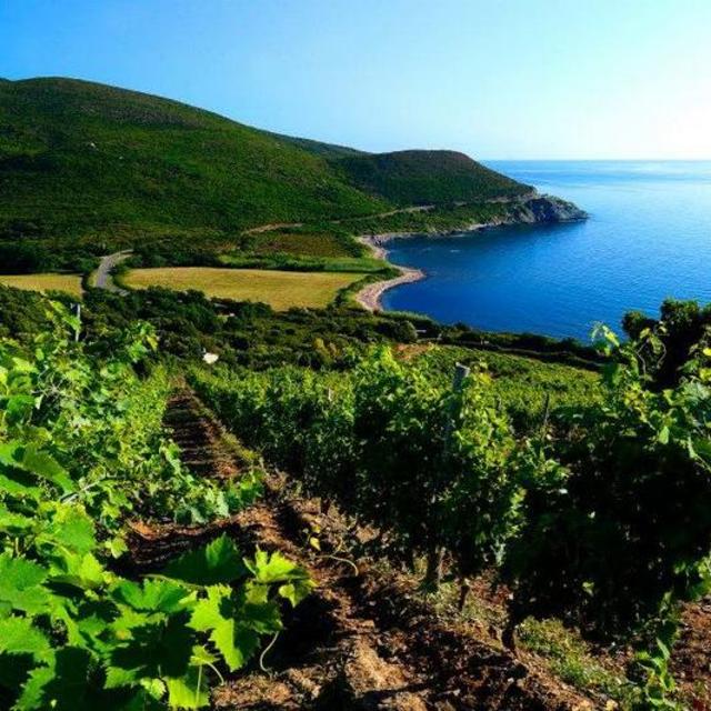 Corsica - Oceanfront Wine Tasting