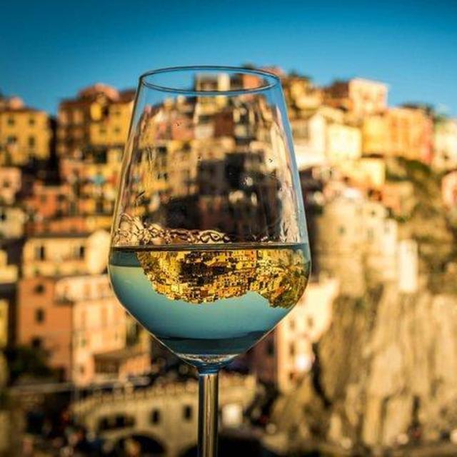 Cinque Terre Wine Tasting