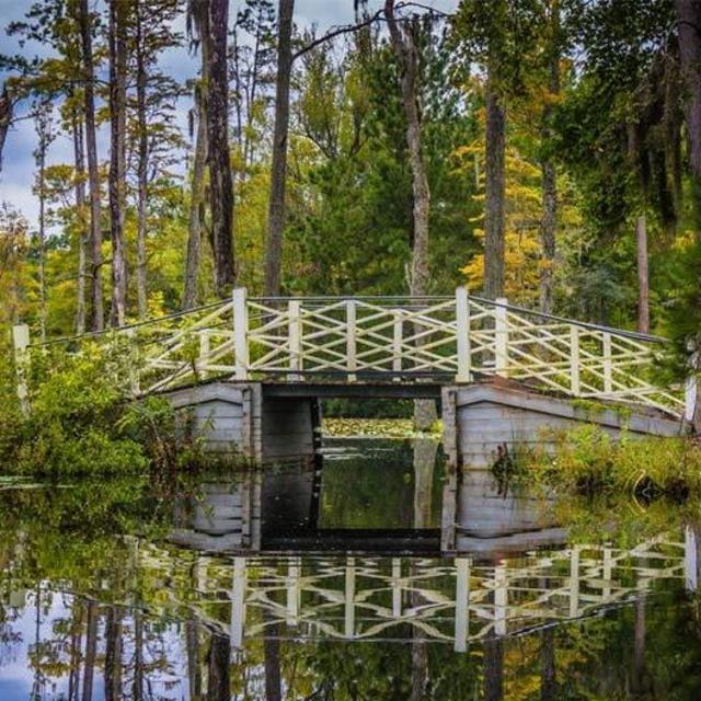 Honeymoon Cypress Gardens