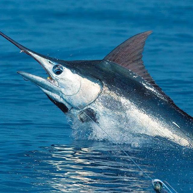 Kauai Fishing Adventure