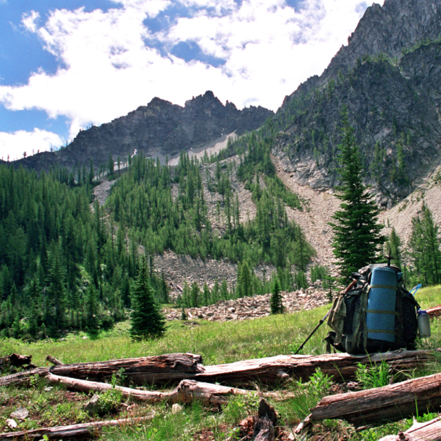 Wilderness Survival Classes