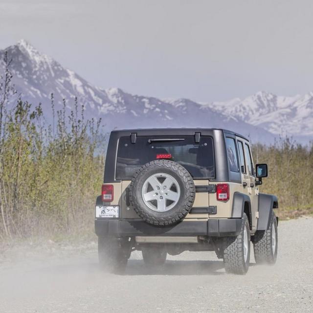 Car Rental (per day)