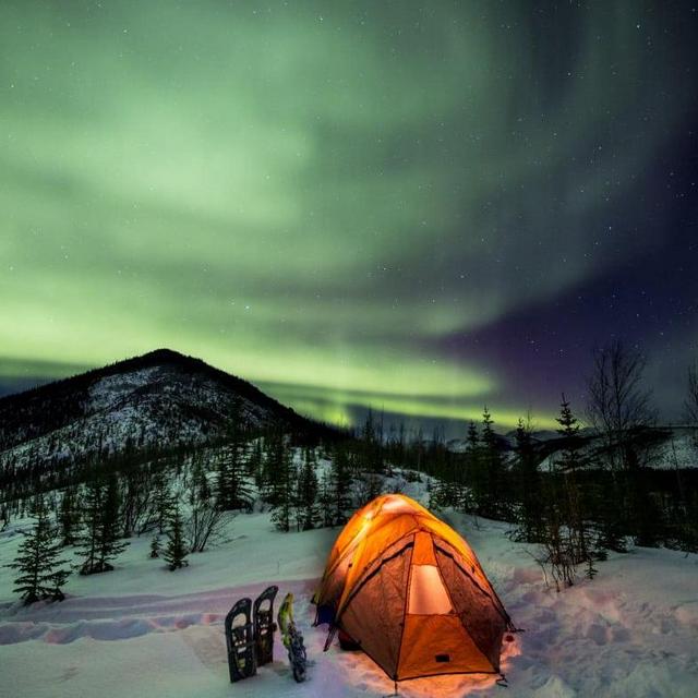 Aurora Borealis Viewing Tour