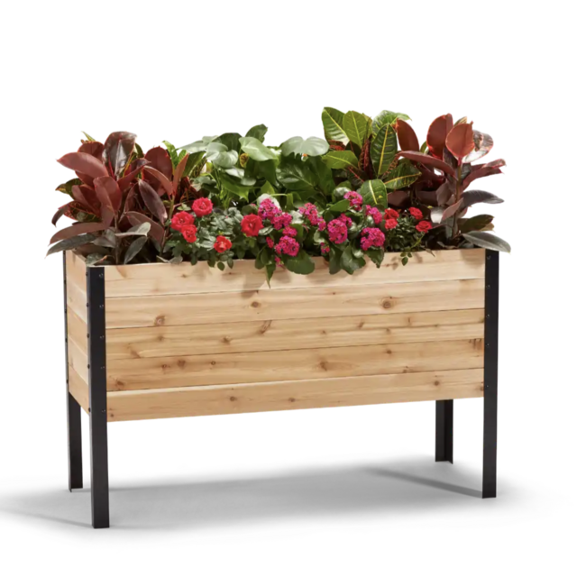 Raised Garden Beds Project