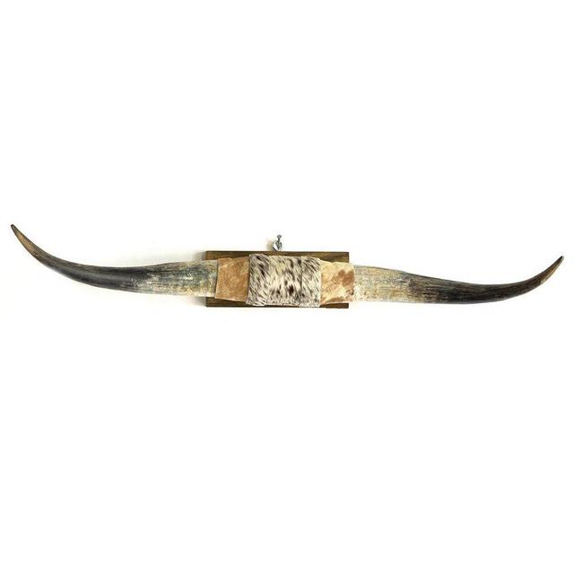 Mounted Longhorn Steer Horns, 24-35 inch span, natural finish, cowhide with some or mostly brown hair