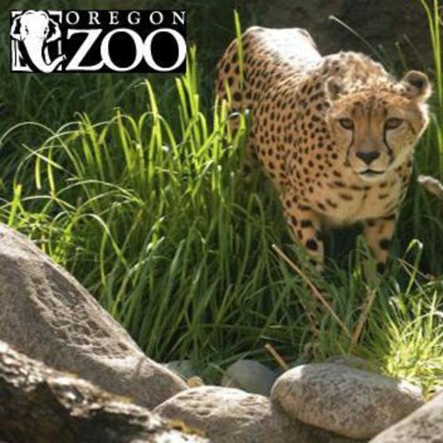 Oregon Zoo Admission for Two