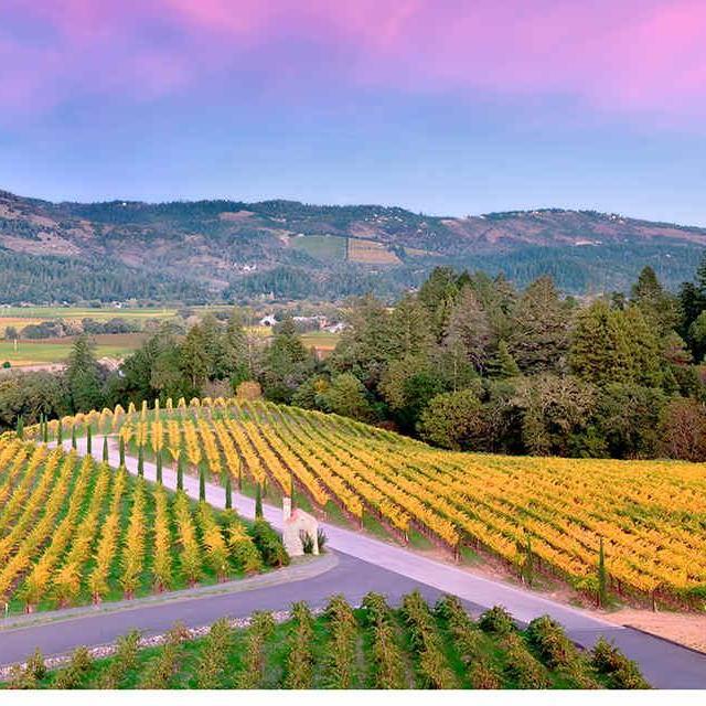 Napa Valley Hotel