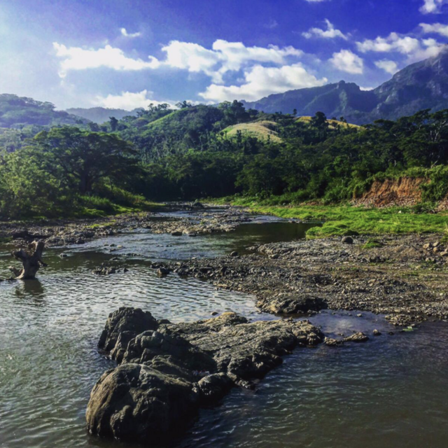 Hot Springs Excursion (Fiji)
