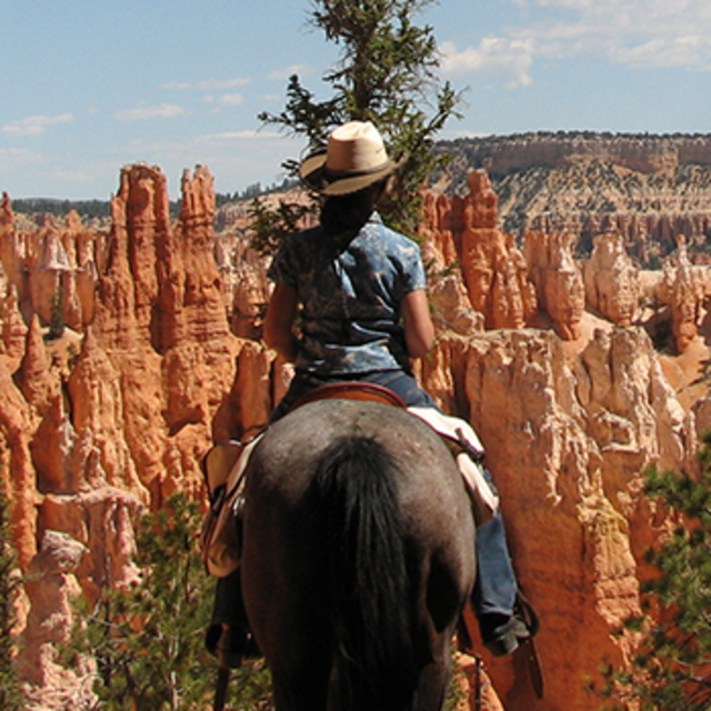 Bryce Canyon Mule Ride
