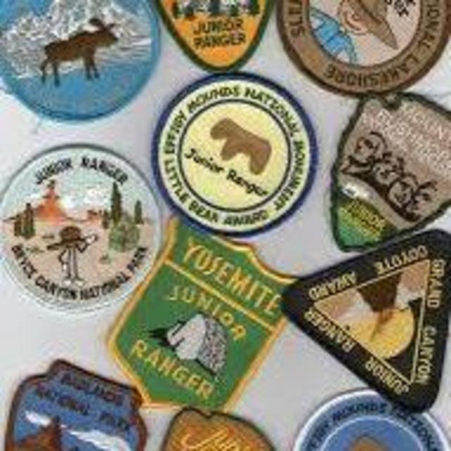 Park Collector Pins