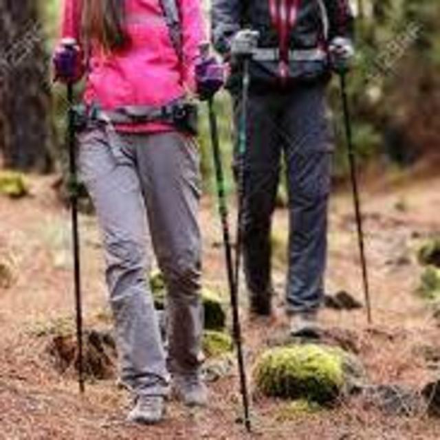 Hiking Sticks