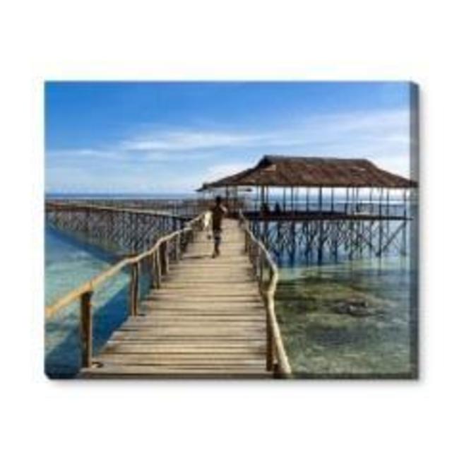 Canvas Prints
