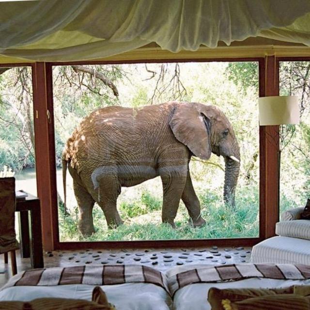 Epic Adventures in Africa, Spring 2017