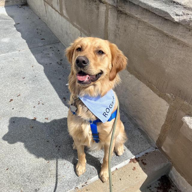 Year's Supply Of Pet Treats For Roger