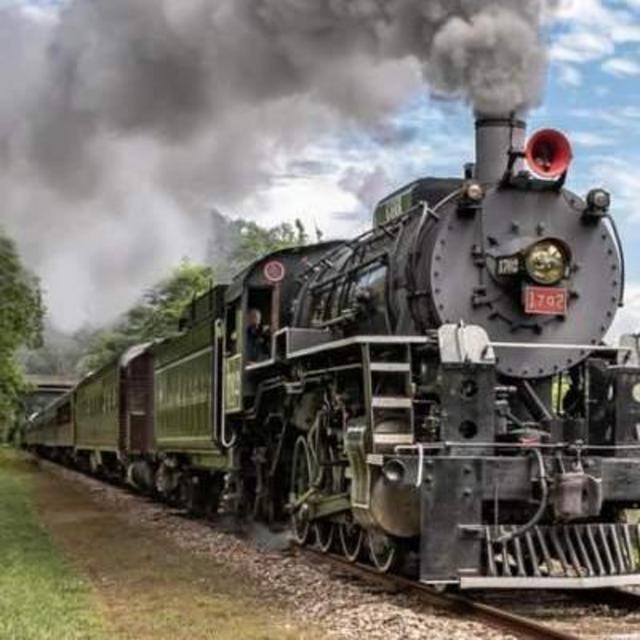 Train Ride on Our Honeymoon