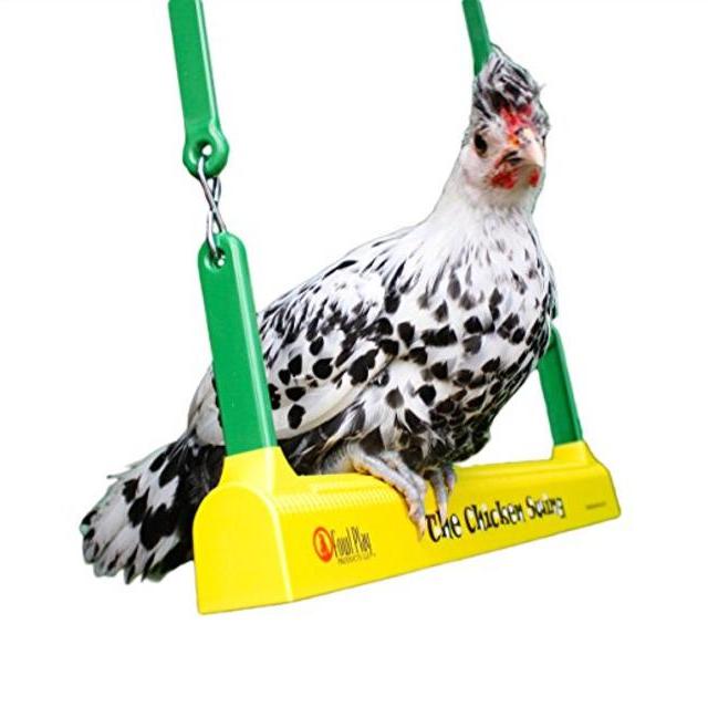 The Chicken Swing