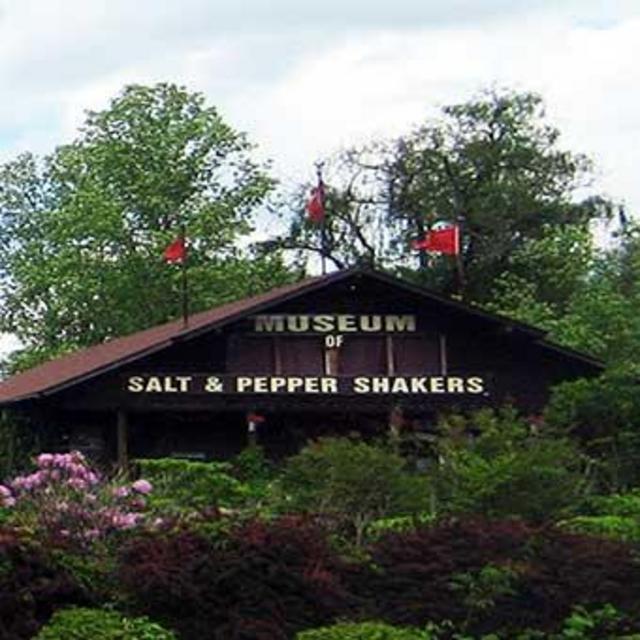 The Salt & Pepper Shaker Museum