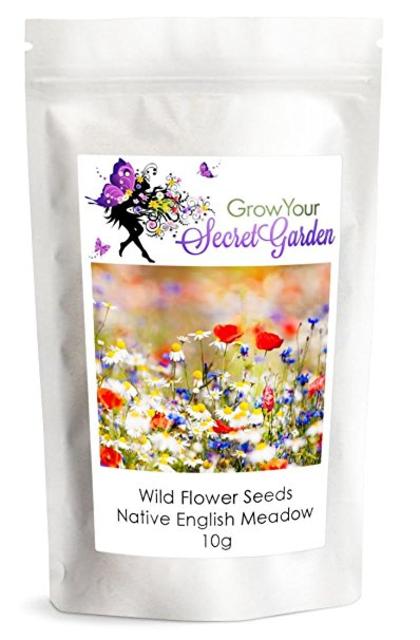 Wild Flower Seeds, Meadow Mix, ONLY FLOWERS - 10 g-Bulk,Bargain