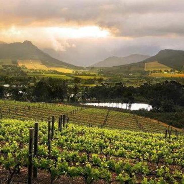 Five Nights in the South African Winelands (Le Petite Ferme)