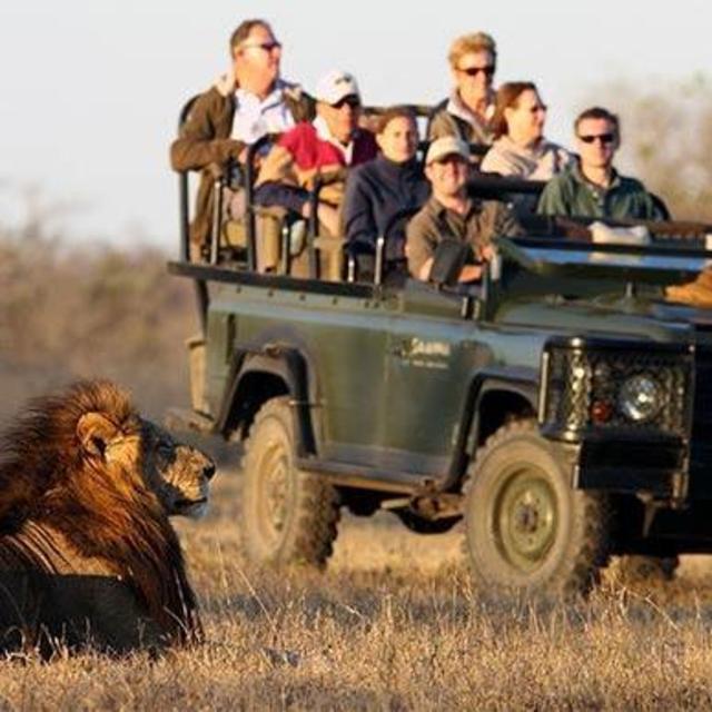 Five Nights on Safari