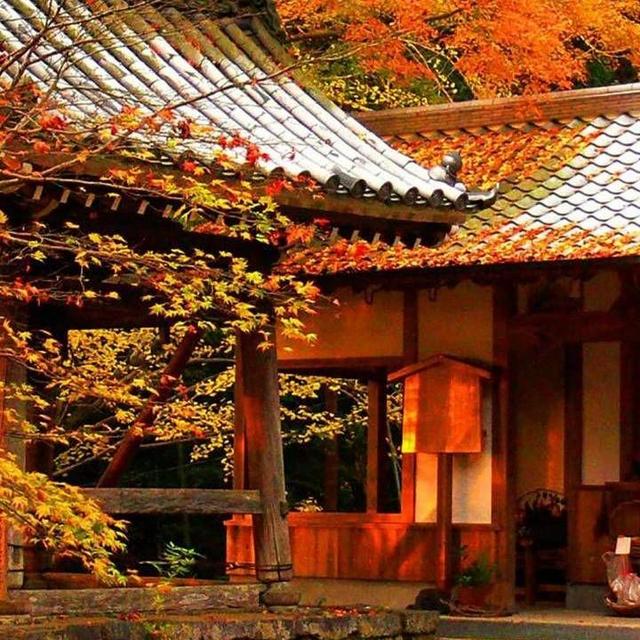 Our Japan Honeymoon