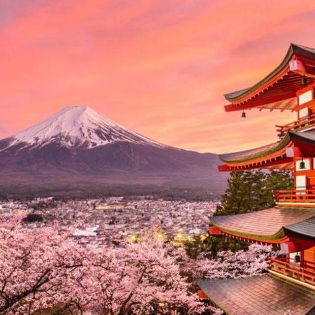 Fund our Honeymoon to Japan!