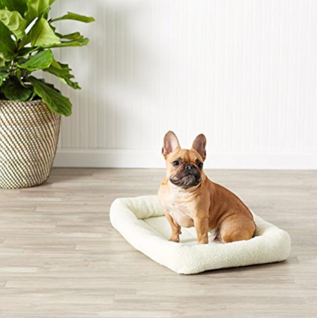 AmazonBasics Padded Pet Bolster Bed