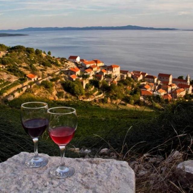 Wine Tasting in Croatia