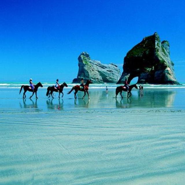 Horseback Riding on the Beach in New Zealand